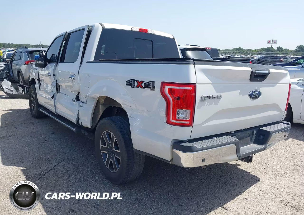 2015 Ford F-150 Xlt VIN:1FTEW1EP0FFA00392 - 3