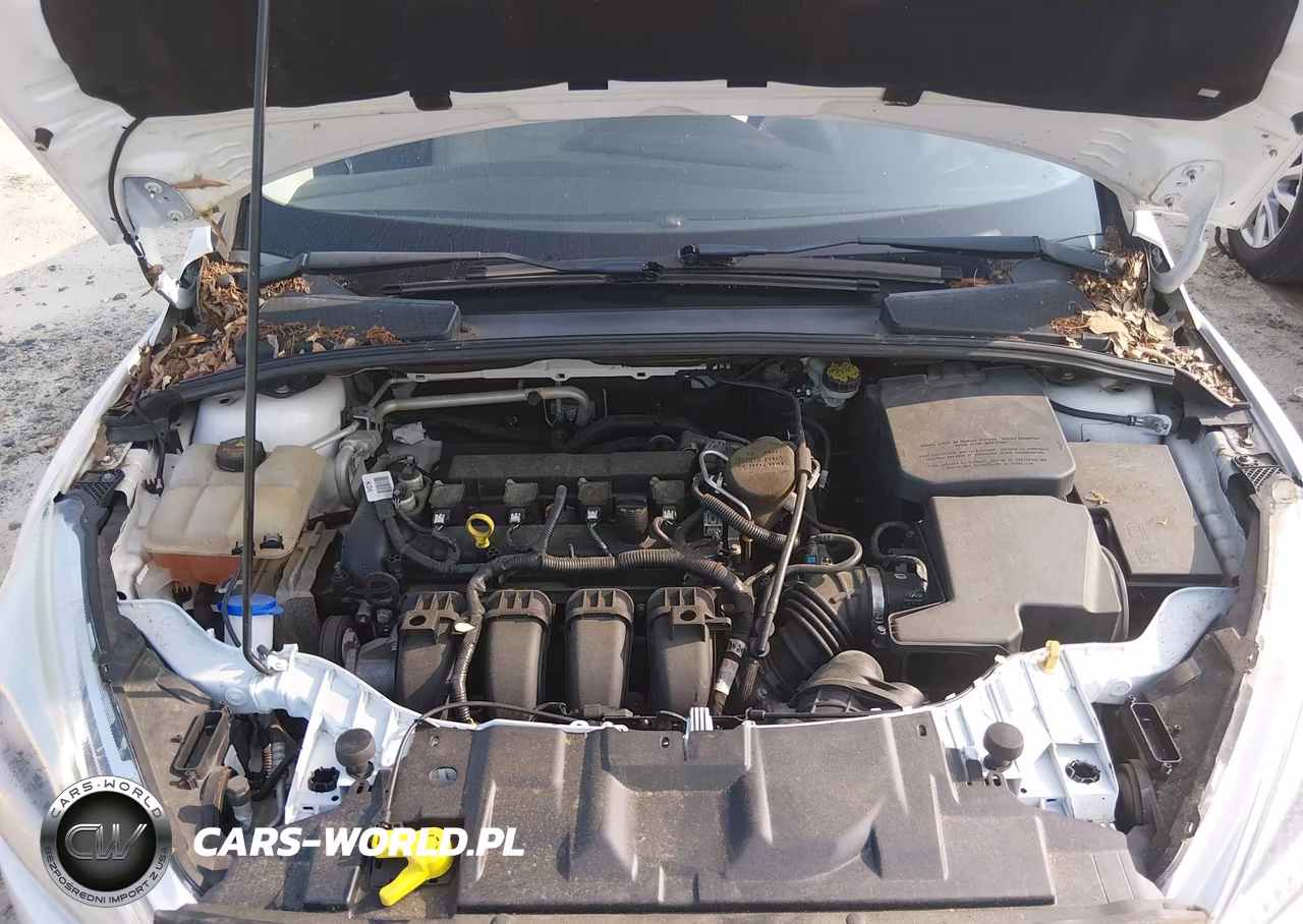 2015 Ford Focus Titanium VIN:1FADP3J24FL209334 - 10