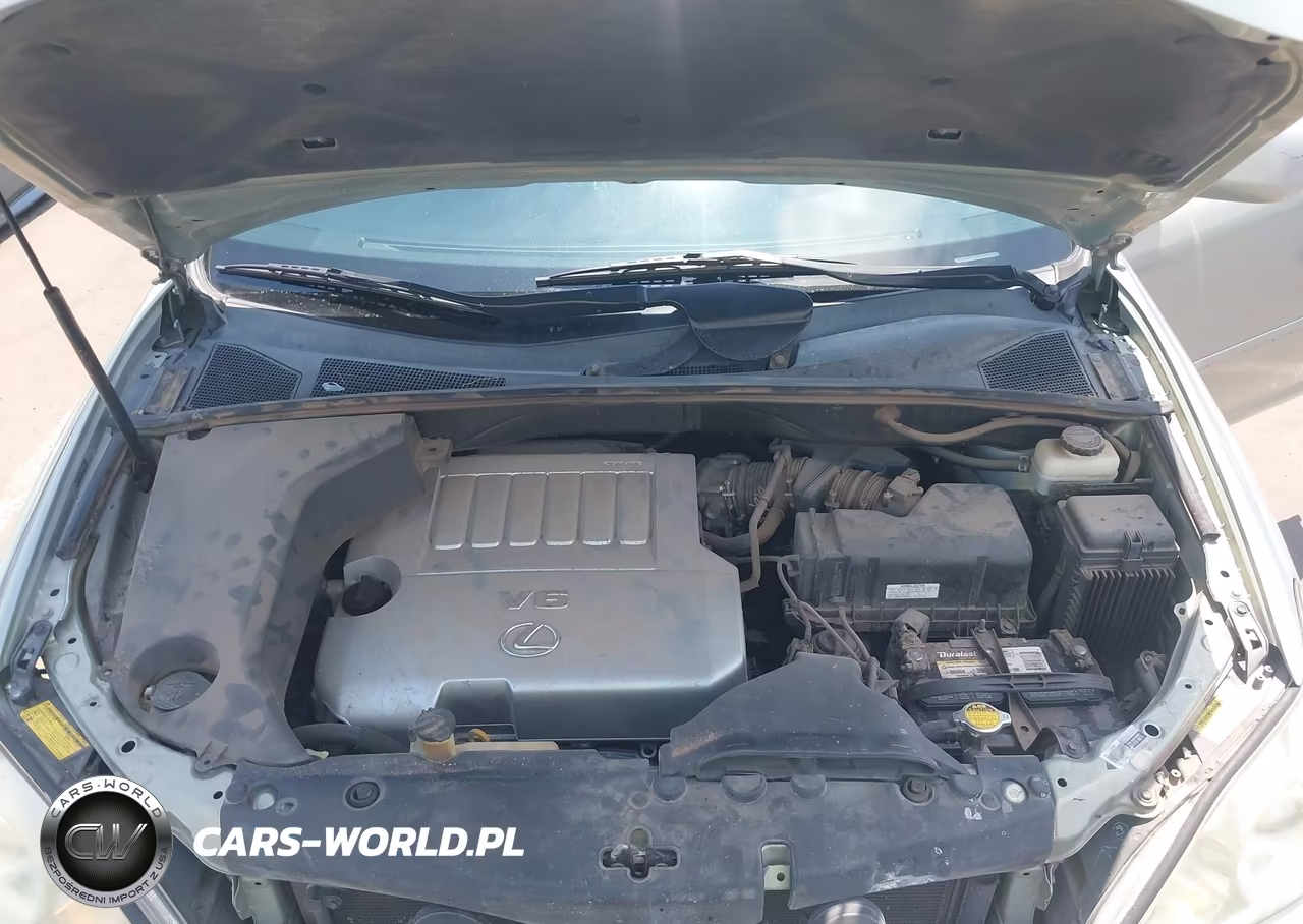 2009 Lexus Rx 350 VIN:2T2GK31U09C058474 - 10