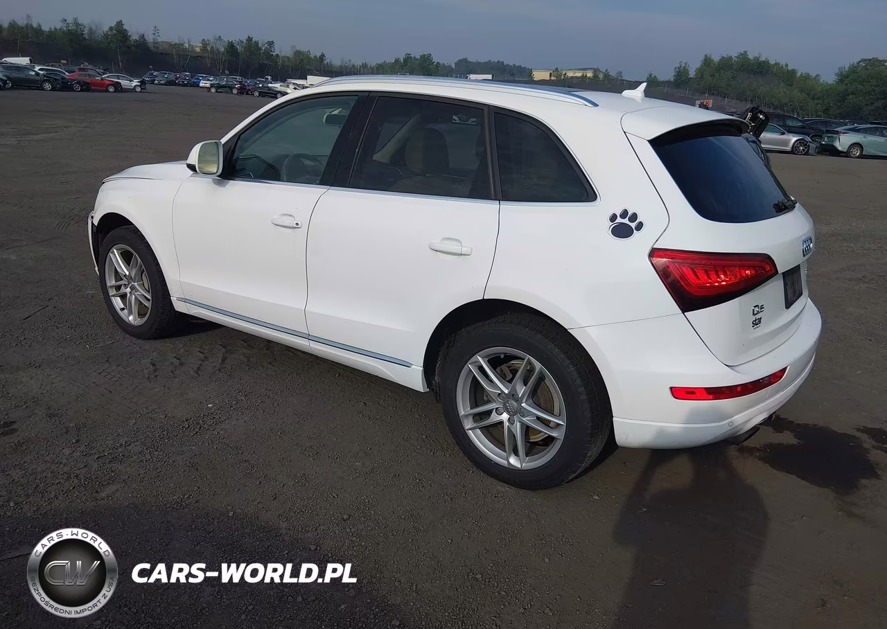 2013 Audi Q5 2.0T Premium VIN:WA1LFAFP1DA010746 - 3