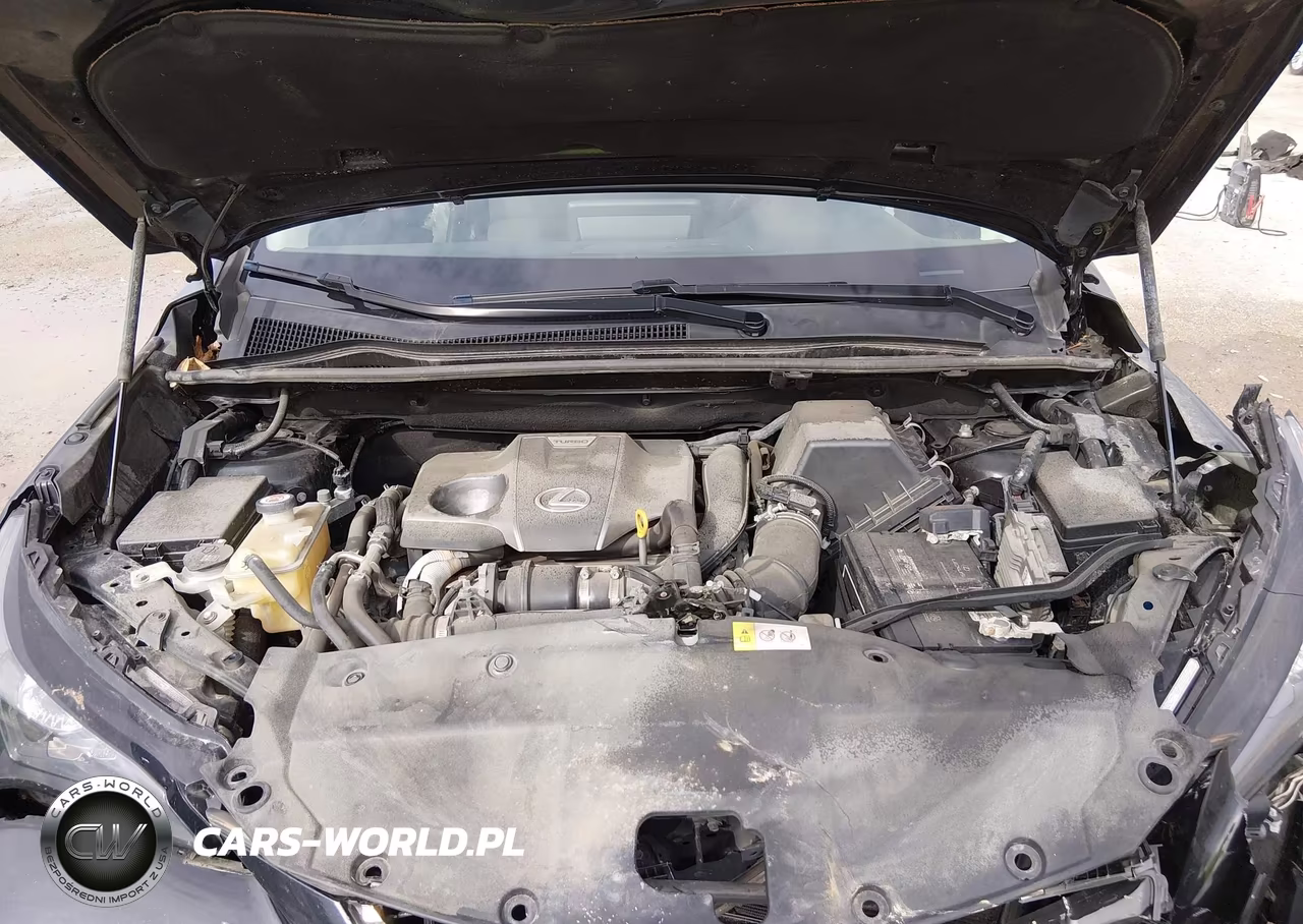 2019 Lexus Nx 300 VIN:JTJBARBZ4K2188841 - 10
