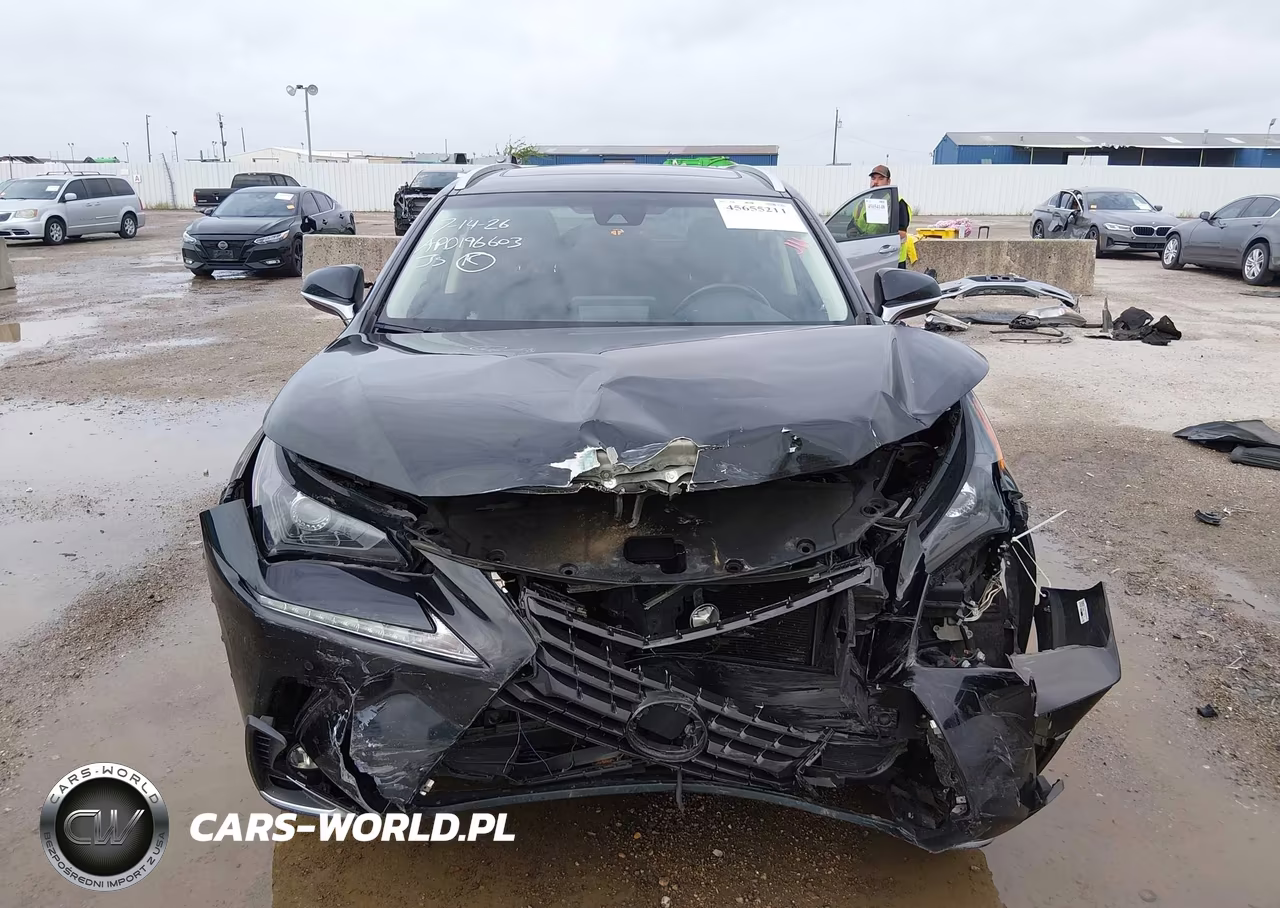 2019 Lexus Nx 300 VIN:JTJBARBZ4K2188841 - 13
