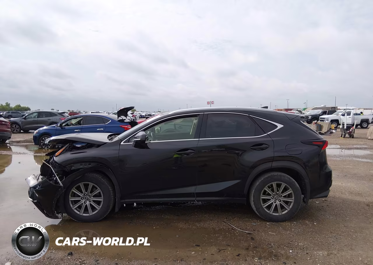 2019 Lexus Nx 300 VIN:JTJBARBZ4K2188841 - 15