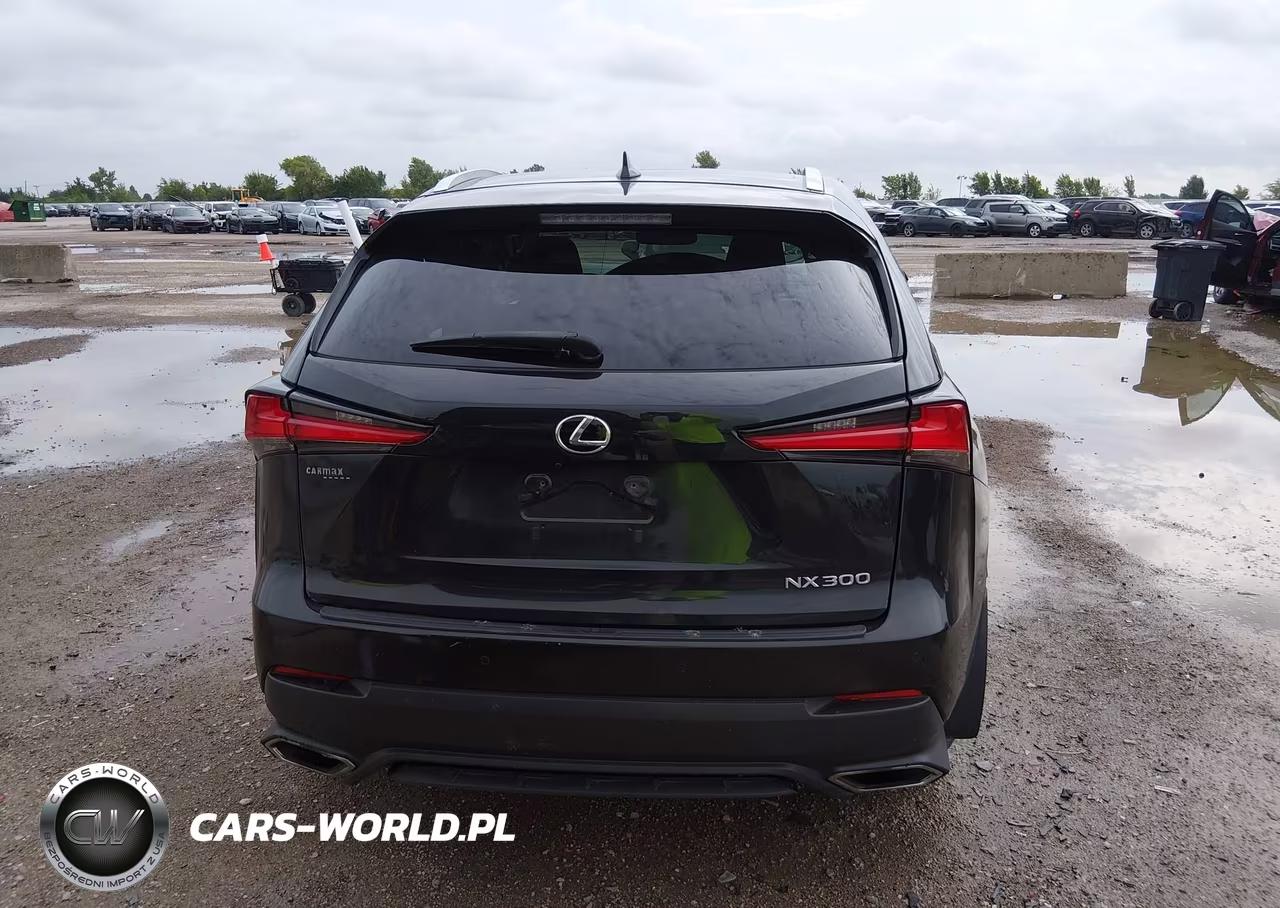 2019 Lexus Nx 300 VIN:JTJBARBZ4K2188841 - 17