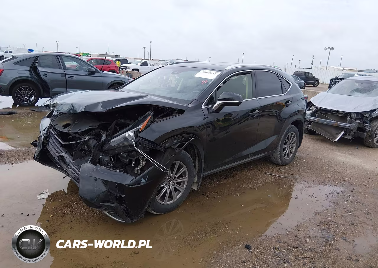 2019 Lexus Nx 300 VIN:JTJBARBZ4K2188841 - 2