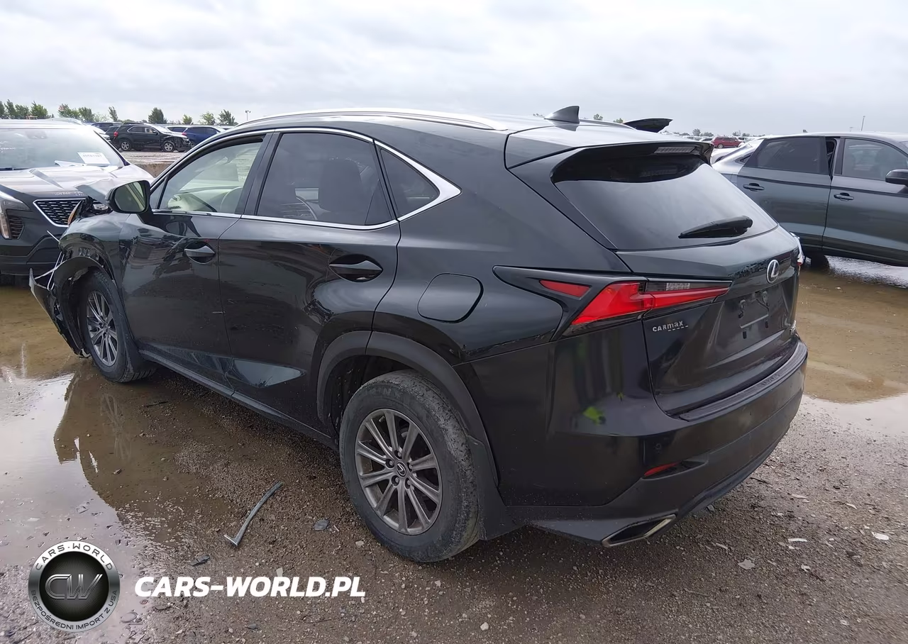 2019 Lexus Nx 300 VIN:JTJBARBZ4K2188841 - 3