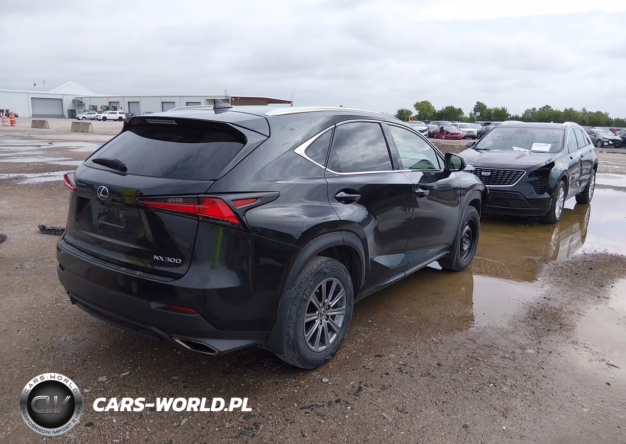 2019 Lexus Nx 300 VIN:JTJBARBZ4K2188841 - 4