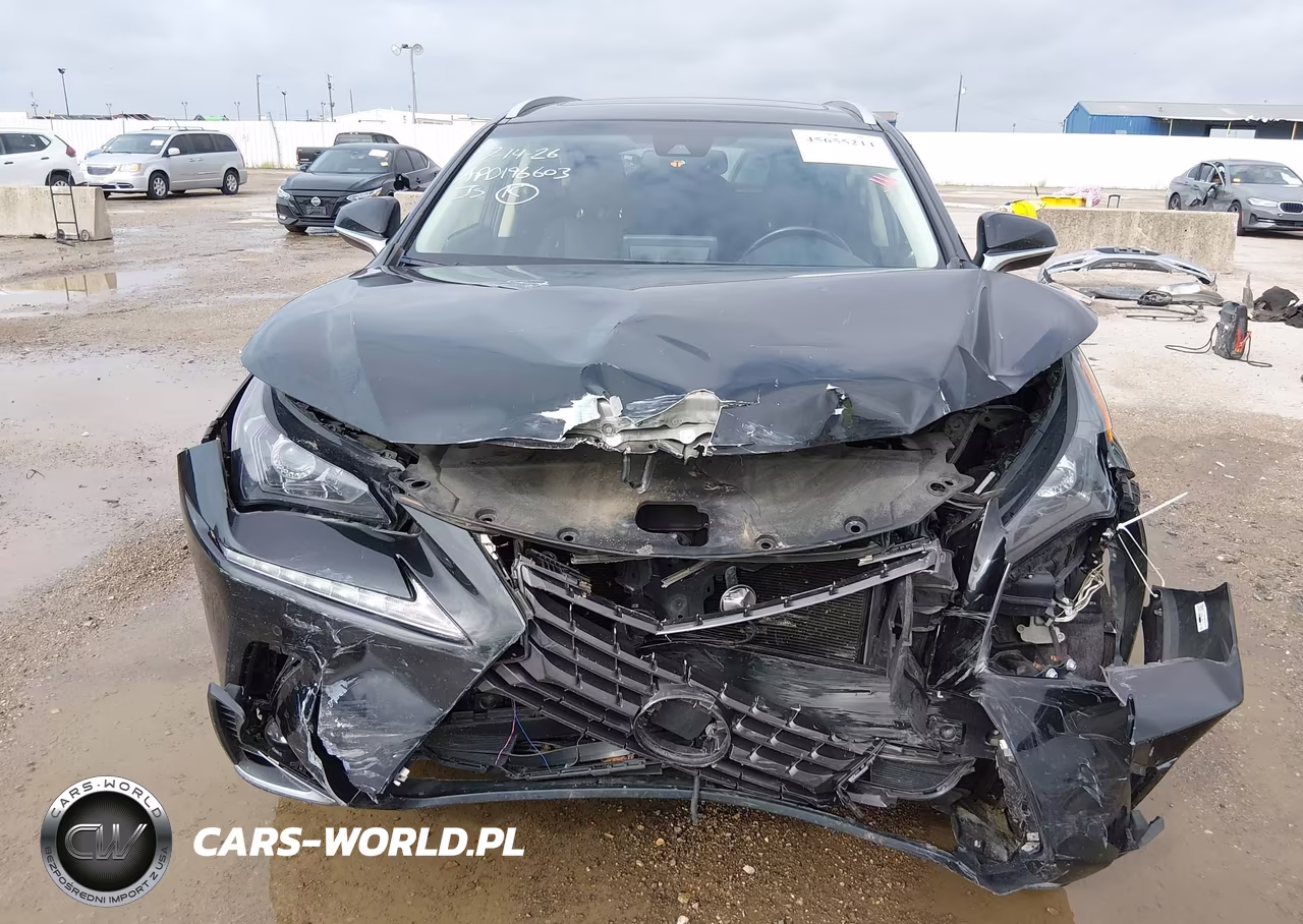 2019 Lexus Nx 300 VIN:JTJBARBZ4K2188841 - 6