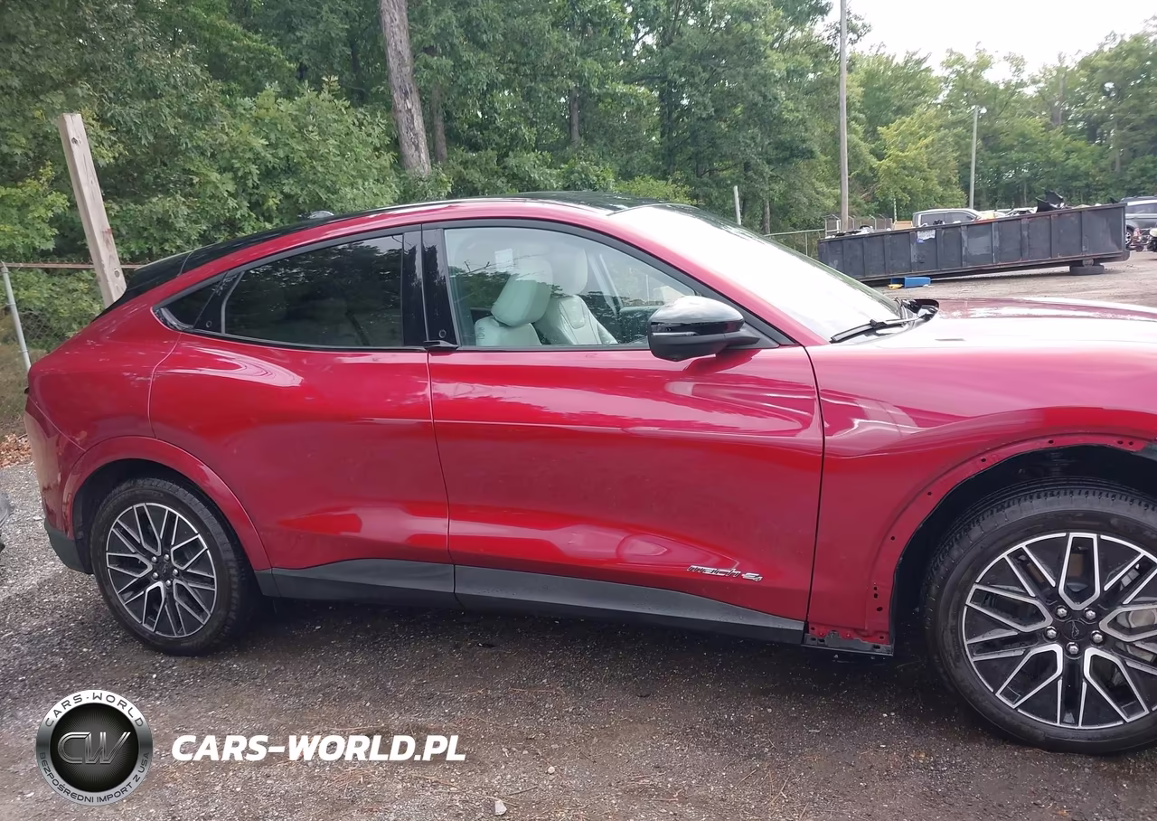 2025 Ford Mustang Mach-E Premium VIN:3FMTK3SU1SMA00478 - 13