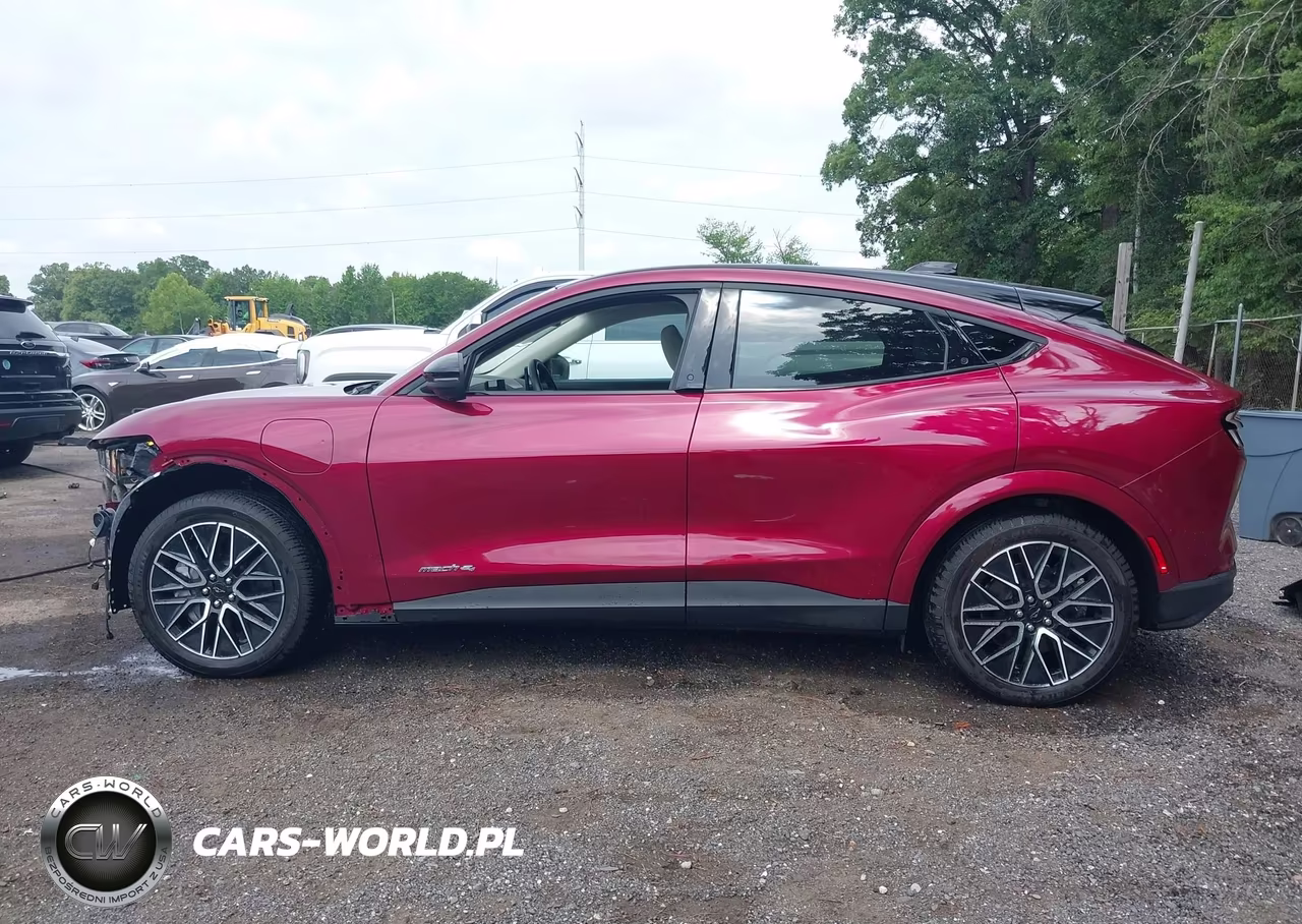 2025 Ford Mustang Mach-E Premium VIN:3FMTK3SU1SMA00478 - 14