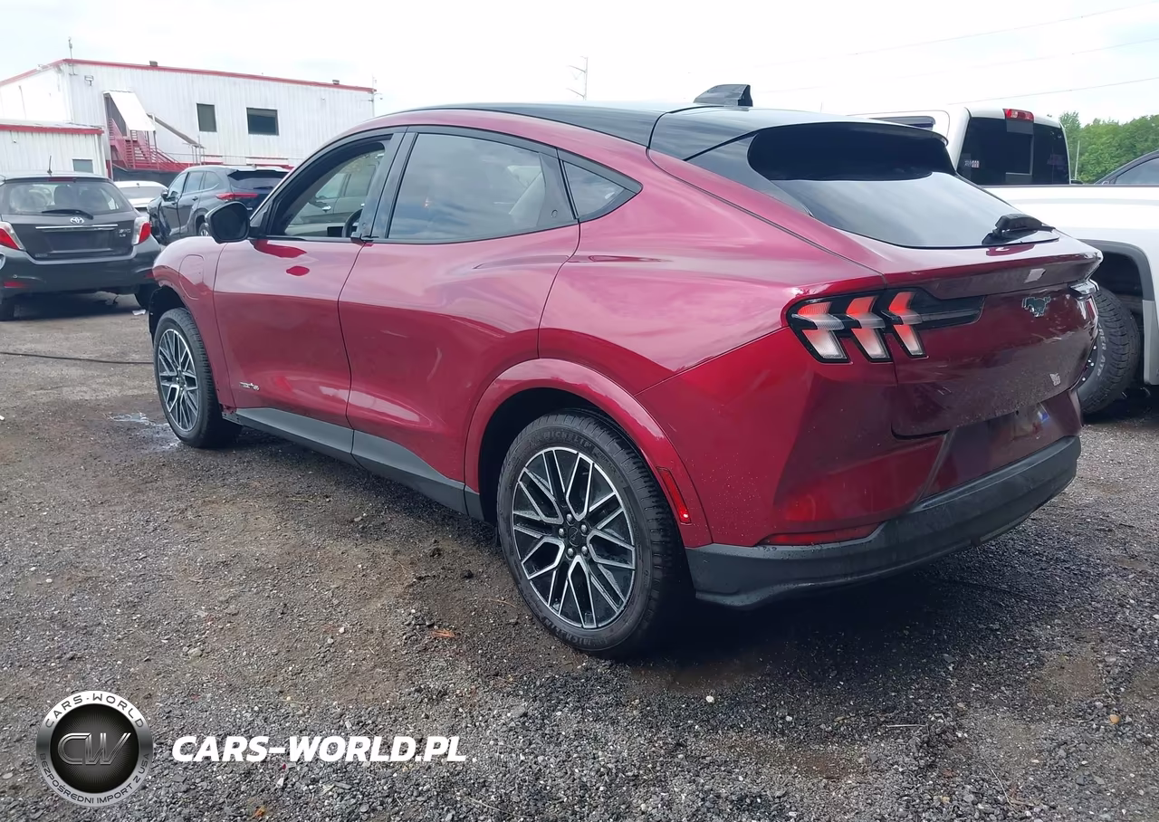 2025 Ford Mustang Mach-E Premium VIN:3FMTK3SU1SMA00478 - 3