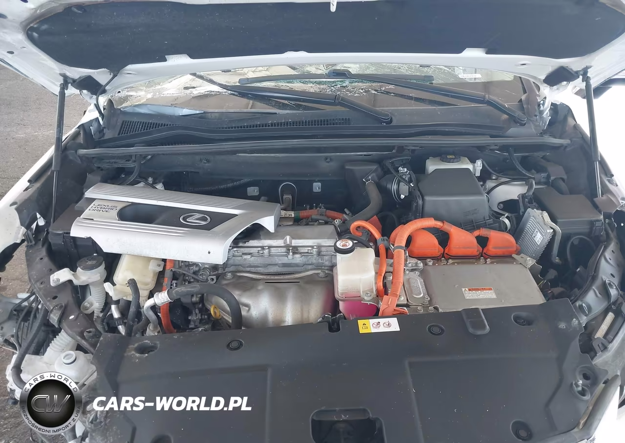 2018 Lexus Nx 300H VIN:JTJBJRBZ5J2096135 - 10