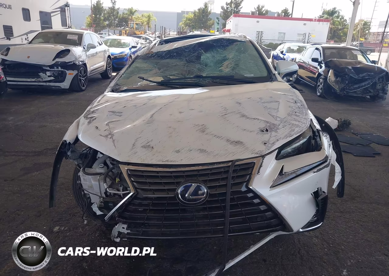 2018 Lexus Nx 300H VIN:JTJBJRBZ5J2096135 - 13