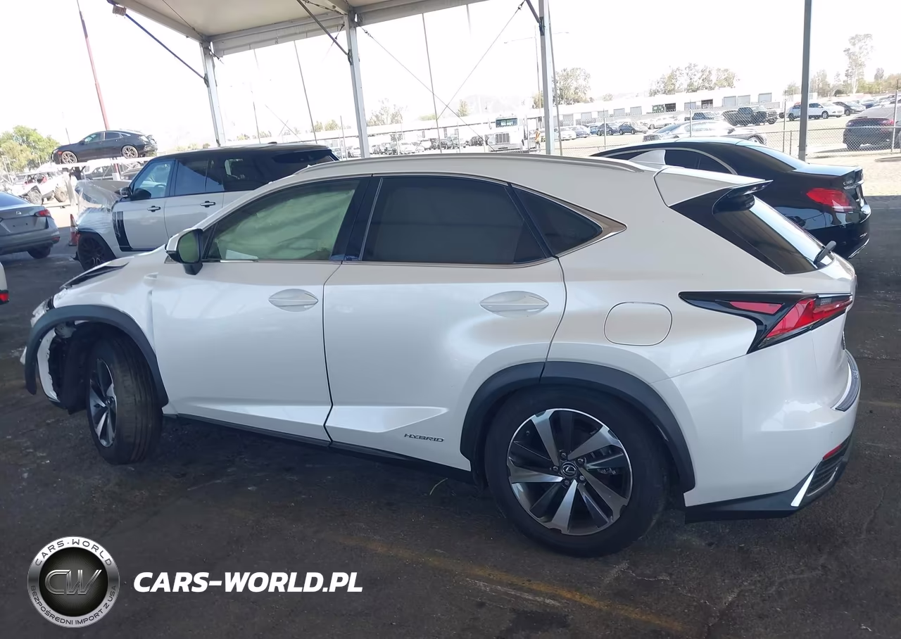 2018 Lexus Nx 300H VIN:JTJBJRBZ5J2096135 - 15