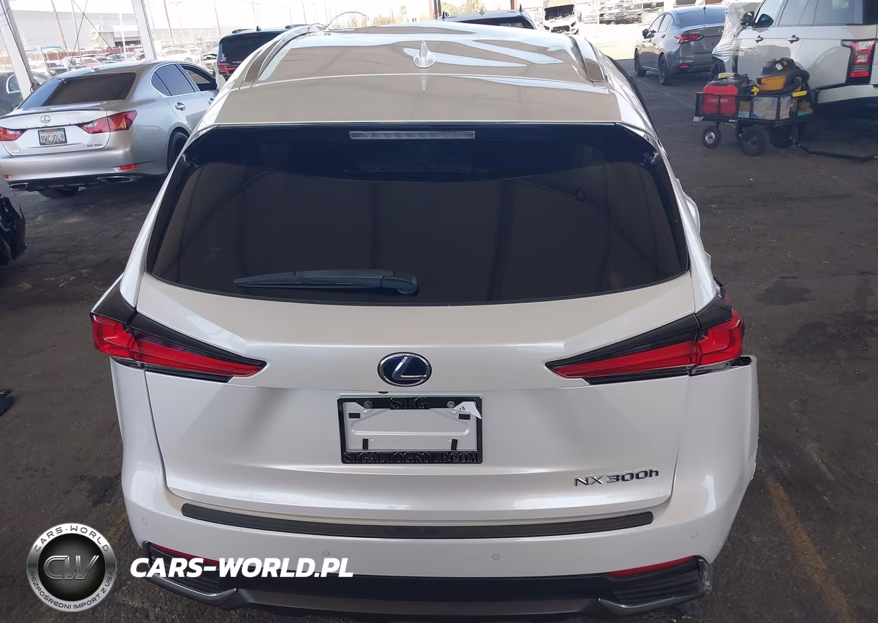 2018 Lexus Nx 300H VIN:JTJBJRBZ5J2096135 - 17