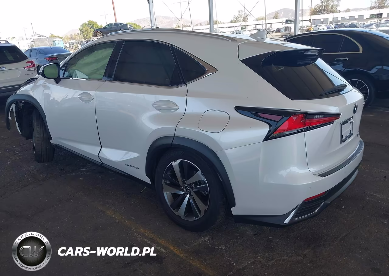 2018 Lexus Nx 300H VIN:JTJBJRBZ5J2096135 - 3