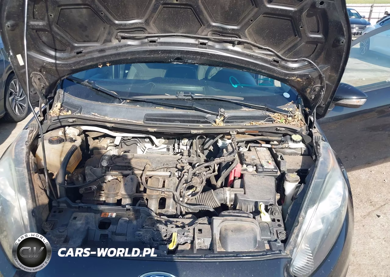 2015 Ford Fiesta Se VIN:3FADP4EJ0FM146755 - 10