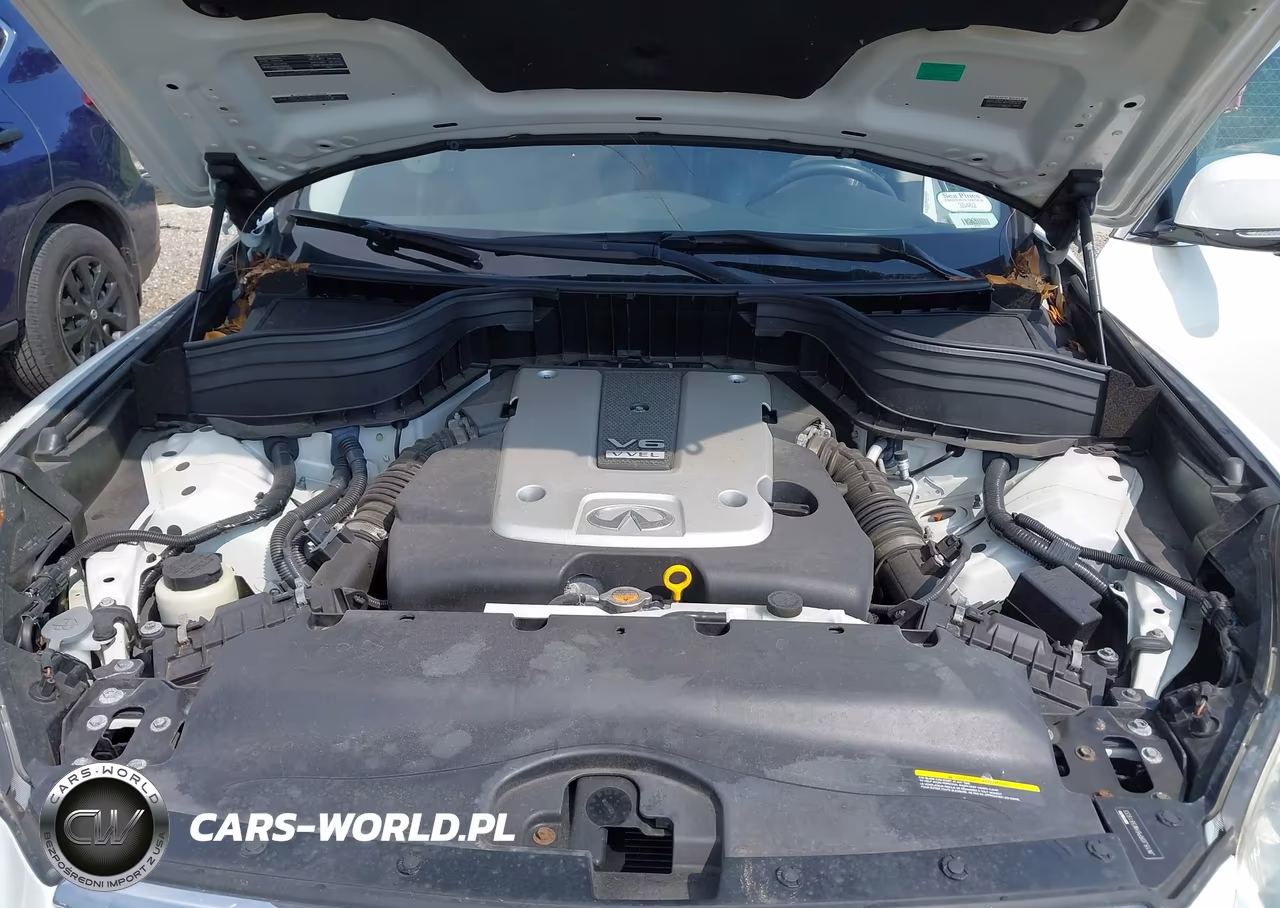 2017 Infiniti Qx50 VIN:JN1BJ0RR6HM405424 - 10