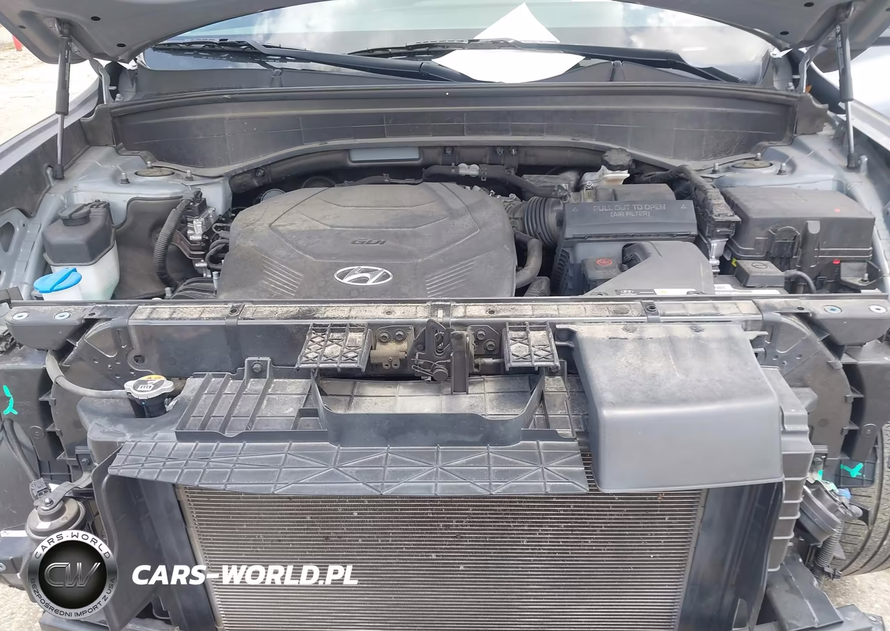 2020 Hyundai Palisade Sel VIN:KM8R44HE6LU145457 - 10