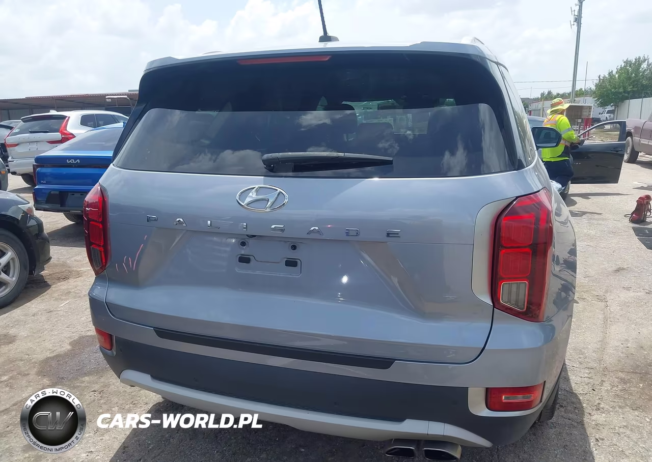 2020 Hyundai Palisade Sel VIN:KM8R44HE6LU145457 - 17