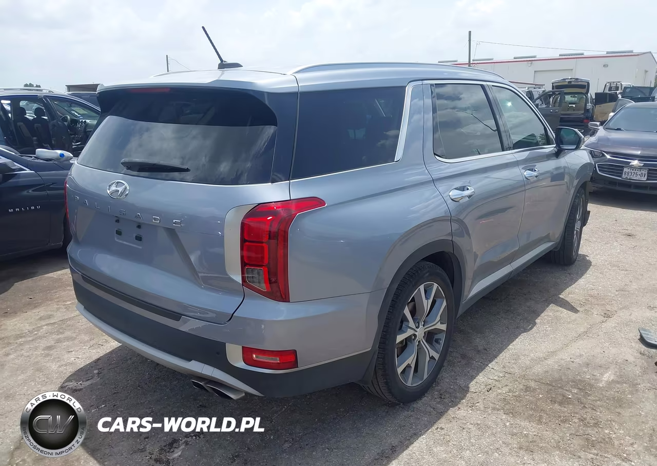 2020 Hyundai Palisade Sel VIN:KM8R44HE6LU145457 - 4