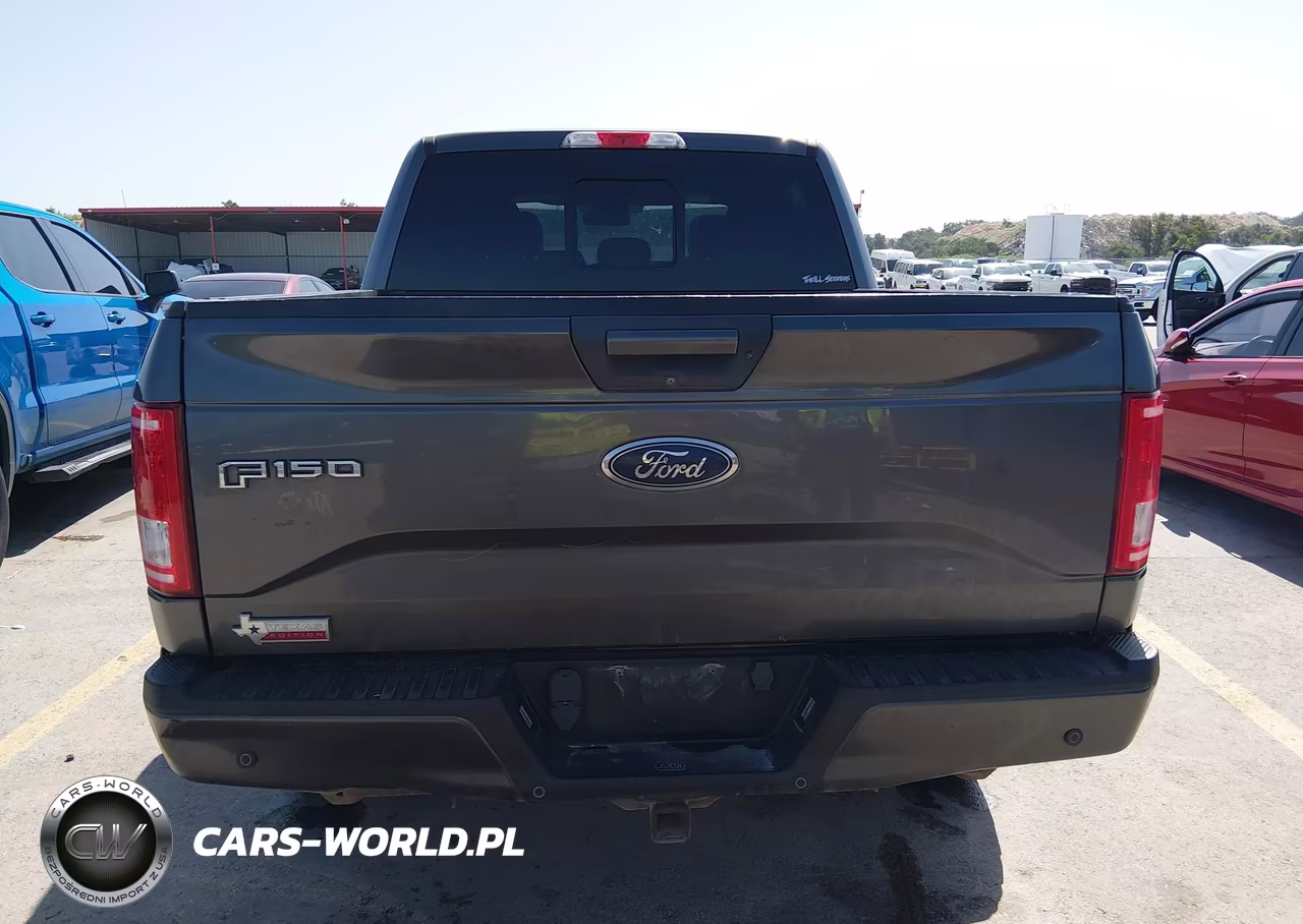 2017 Ford F-150 Xlt VIN:1FTEW1EG1HFA97315 - 16