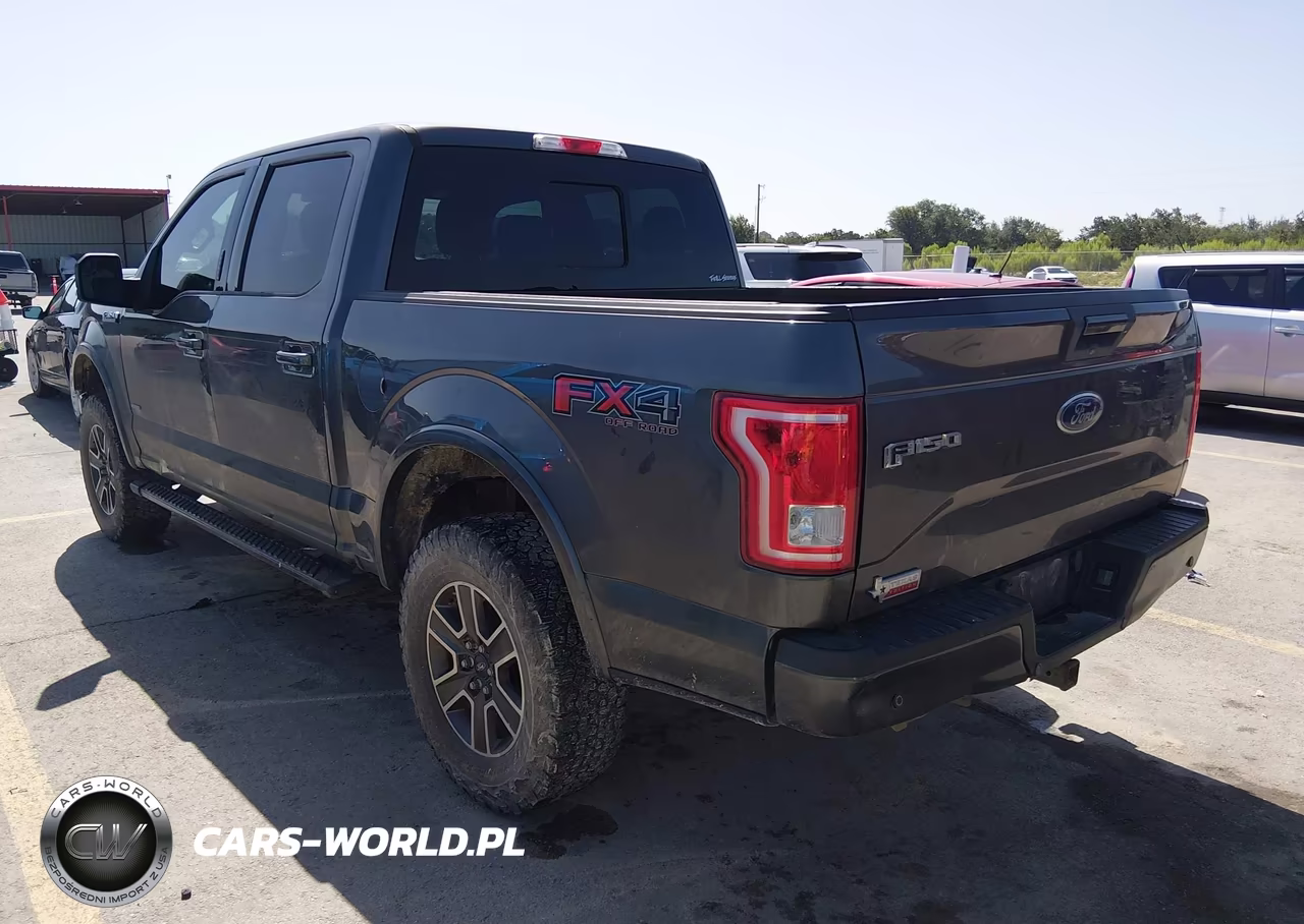 2017 Ford F-150 Xlt VIN:1FTEW1EG1HFA97315 - 3