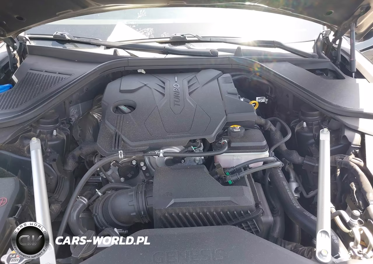 2021 Genesis G80 2.5T Rwd VIN:KMTGB4SC9MU043873 - 10