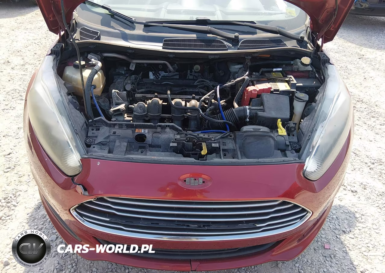 2016 Ford Fiesta Se VIN:3FADP4EJ6GM155011 - 10