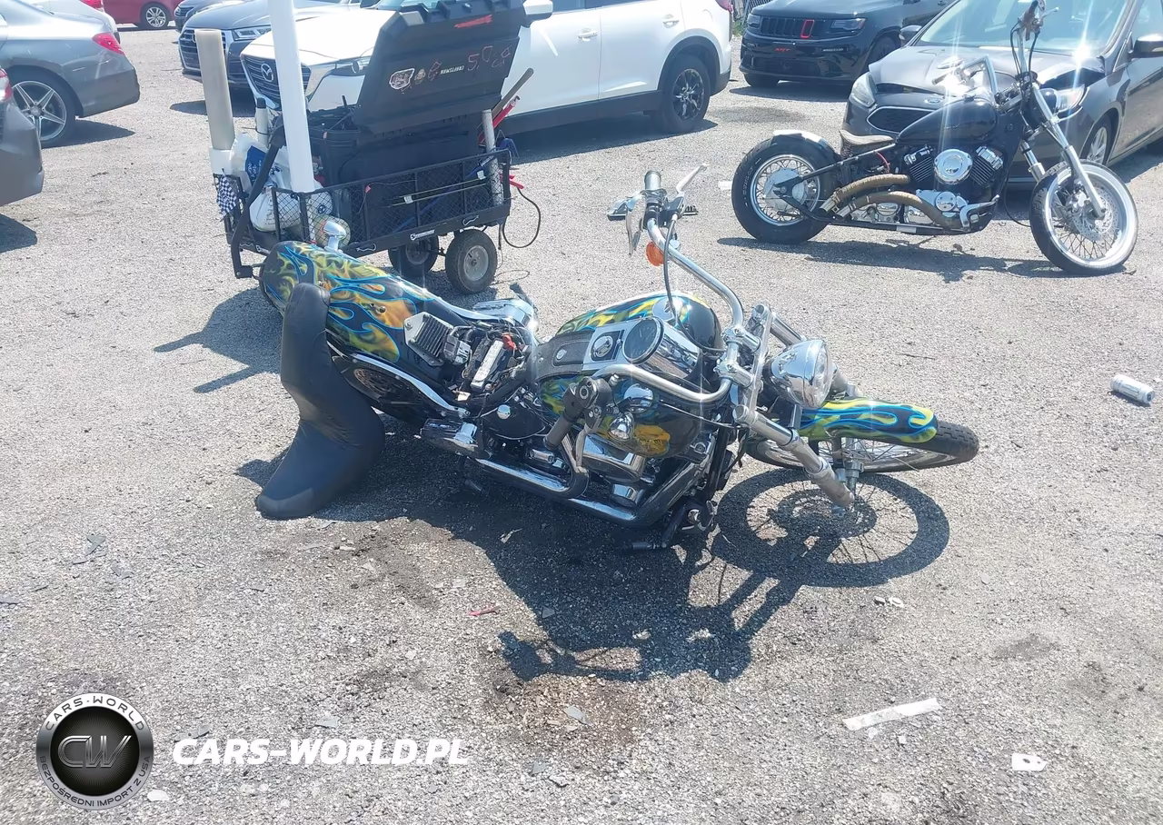 2008 Harley-Davidson Fxstc VIN:1HD1JL51X8Y021521 - 1