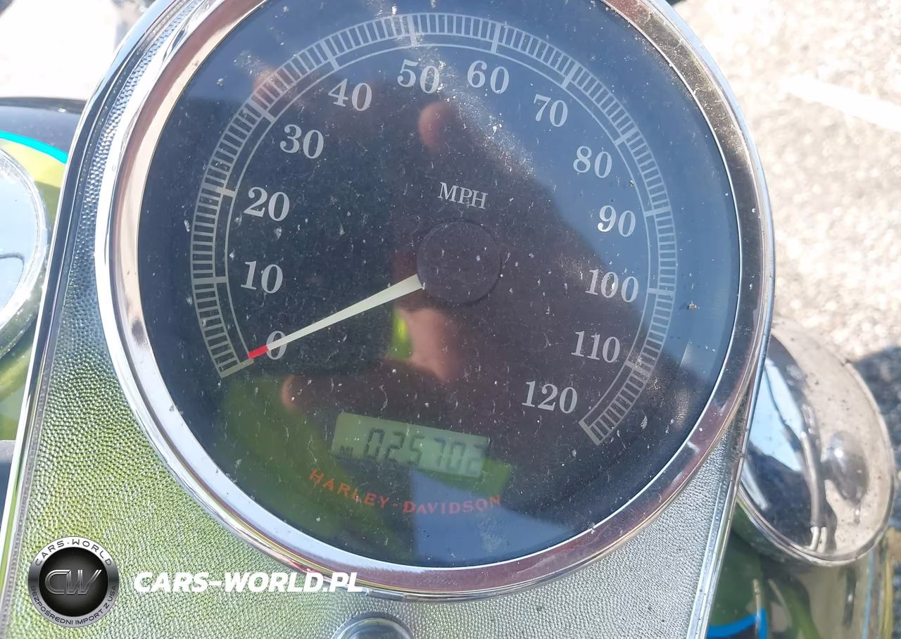 2008 Harley-Davidson Fxstc VIN:1HD1JL51X8Y021521 - 7