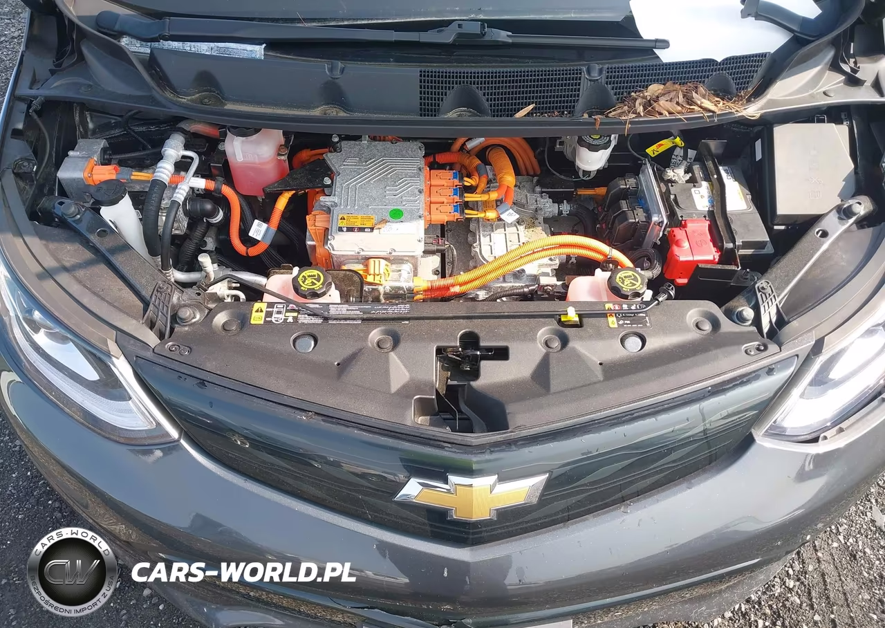 2019 Chevrolet Bolt Ev Lt VIN:1G1FY6S09K4130222 - 10