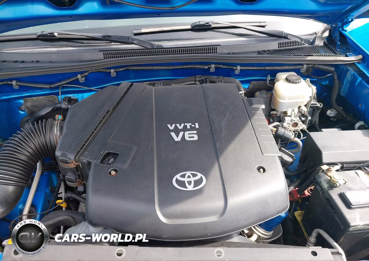 2009 Toyota Tacoma Base V6 VIN:3TMLU42N59M034785 - 10