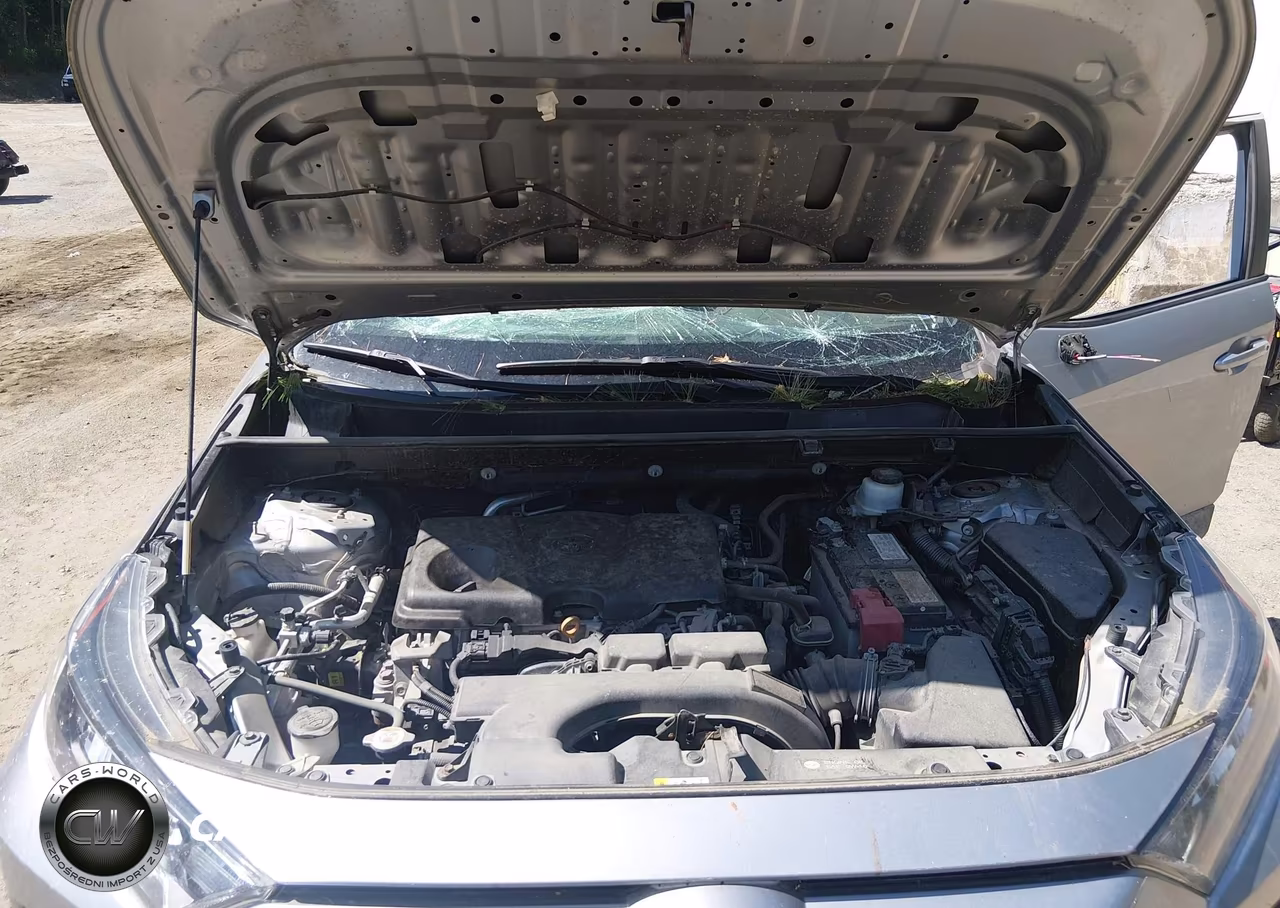 2019 Toyota Rav4 Le VIN:2T3F1RFV1KC005044 - 10