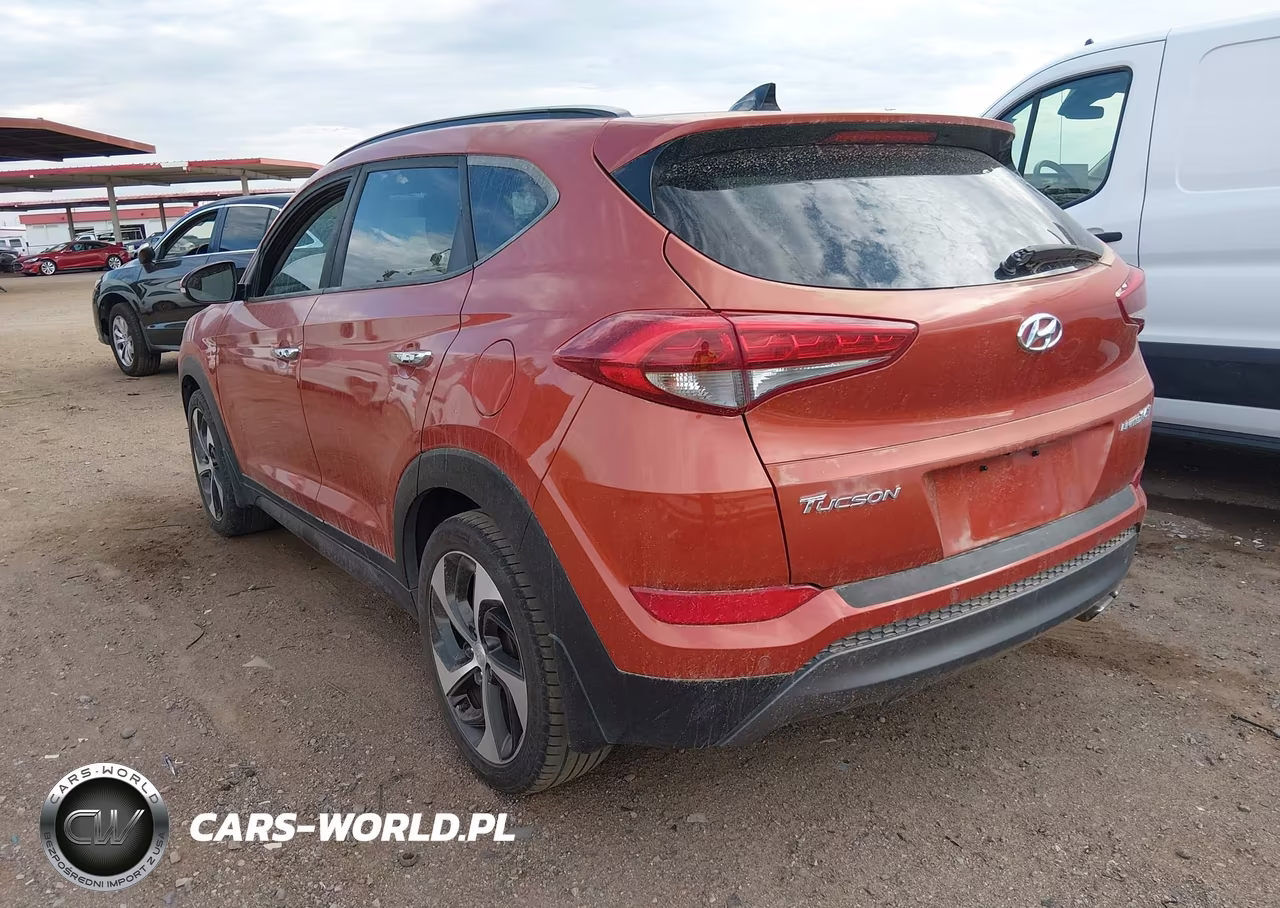 2016 Hyundai Tucson Limited VIN:KM8J33A23GU148140 - 3