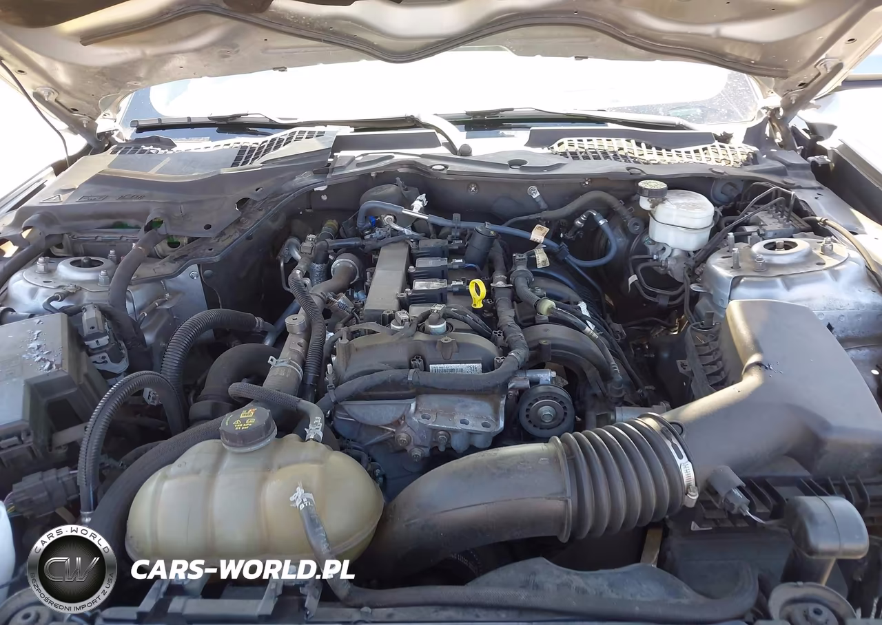 2022 Ford Mustang Ecoboost Premium Fastback VIN:1FA6P8TH6N5101338 - 10