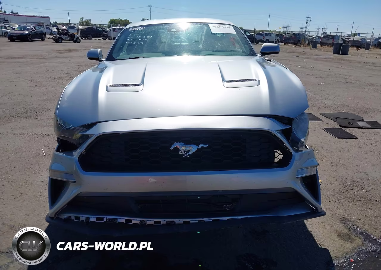 2022 Ford Mustang Ecoboost Premium Fastback VIN:1FA6P8TH6N5101338 - 12