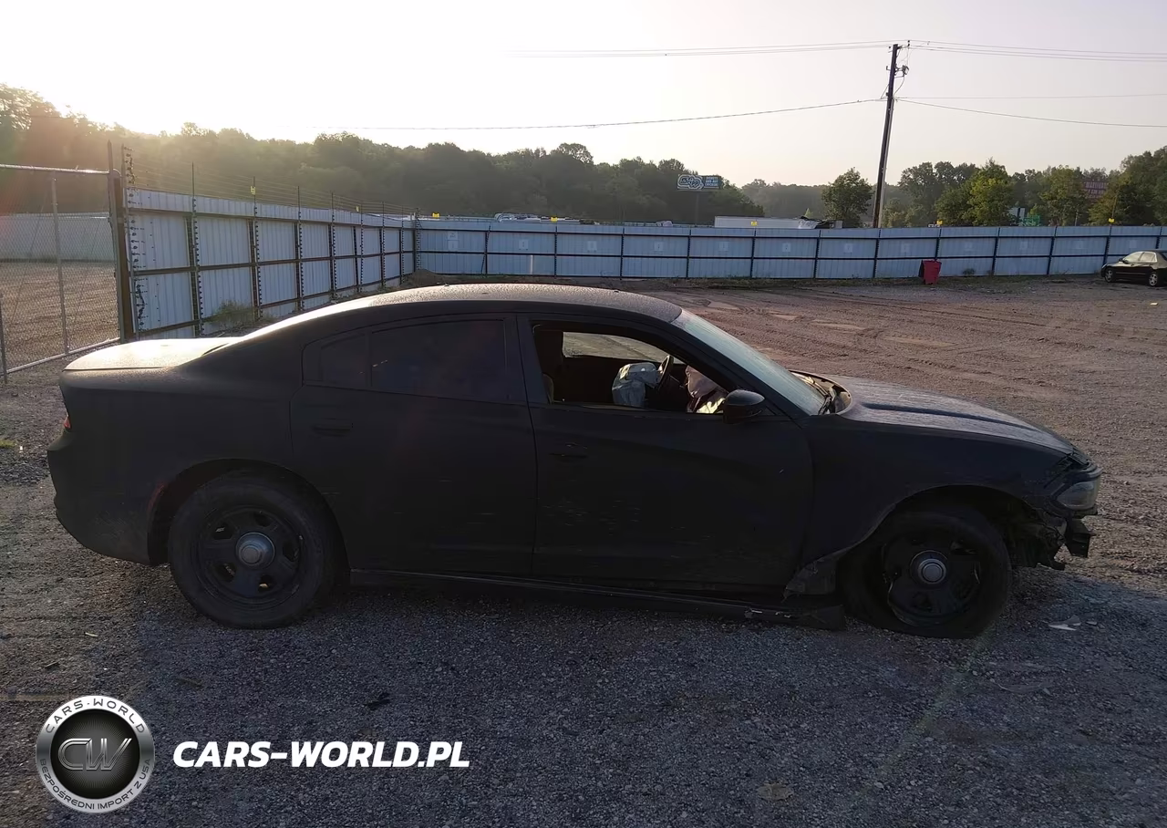 2016 Dodge Charger Police VIN:2C3CDXAG6GH293516 - 14