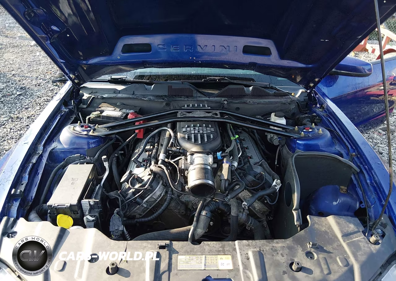 2013 Ford Mustang Gt VIN:1ZVBP8CF8D5204828 - 10
