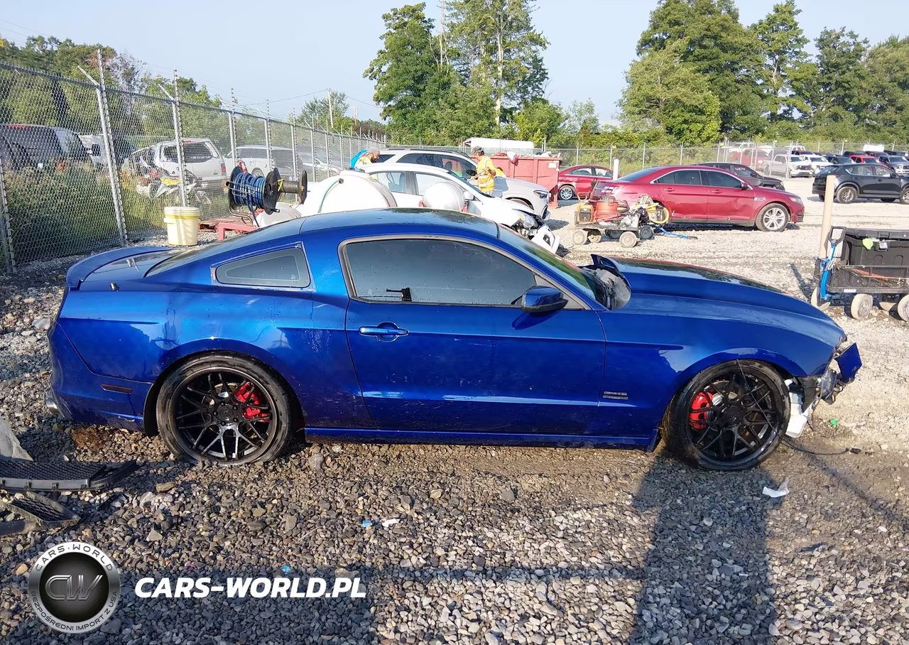 2013 Ford Mustang Gt VIN:1ZVBP8CF8D5204828 - 14