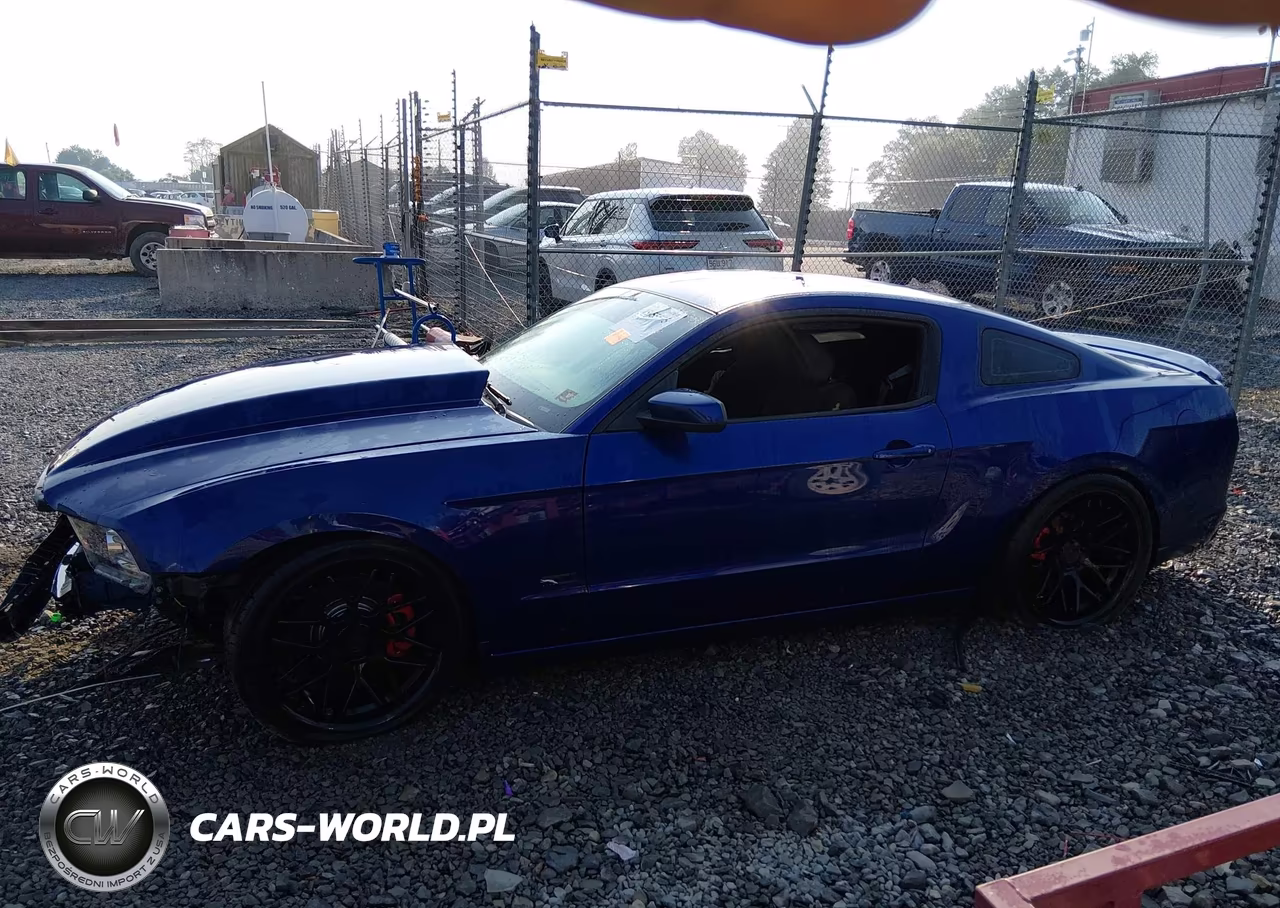 2013 Ford Mustang Gt VIN:1ZVBP8CF8D5204828 - 15