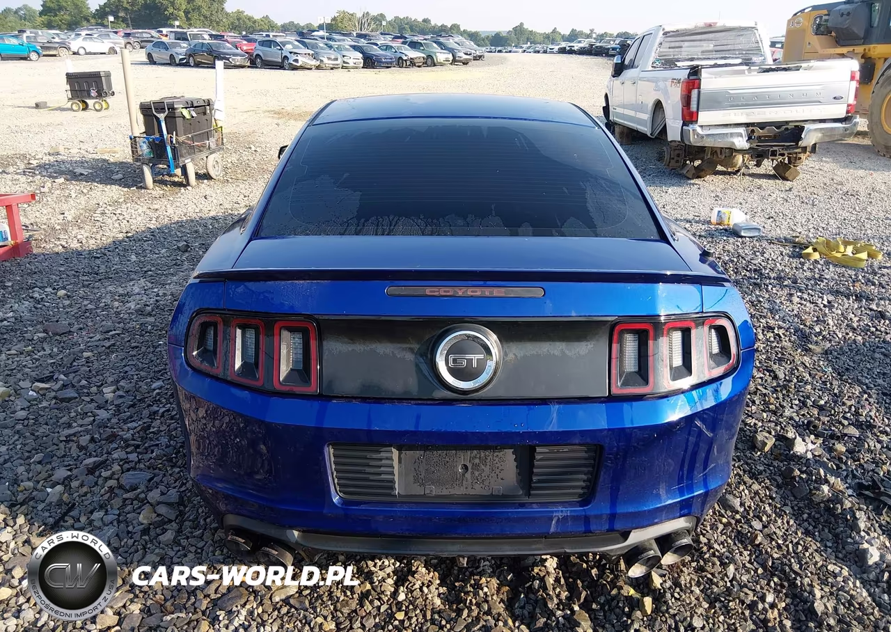 2013 Ford Mustang Gt VIN:1ZVBP8CF8D5204828 - 17