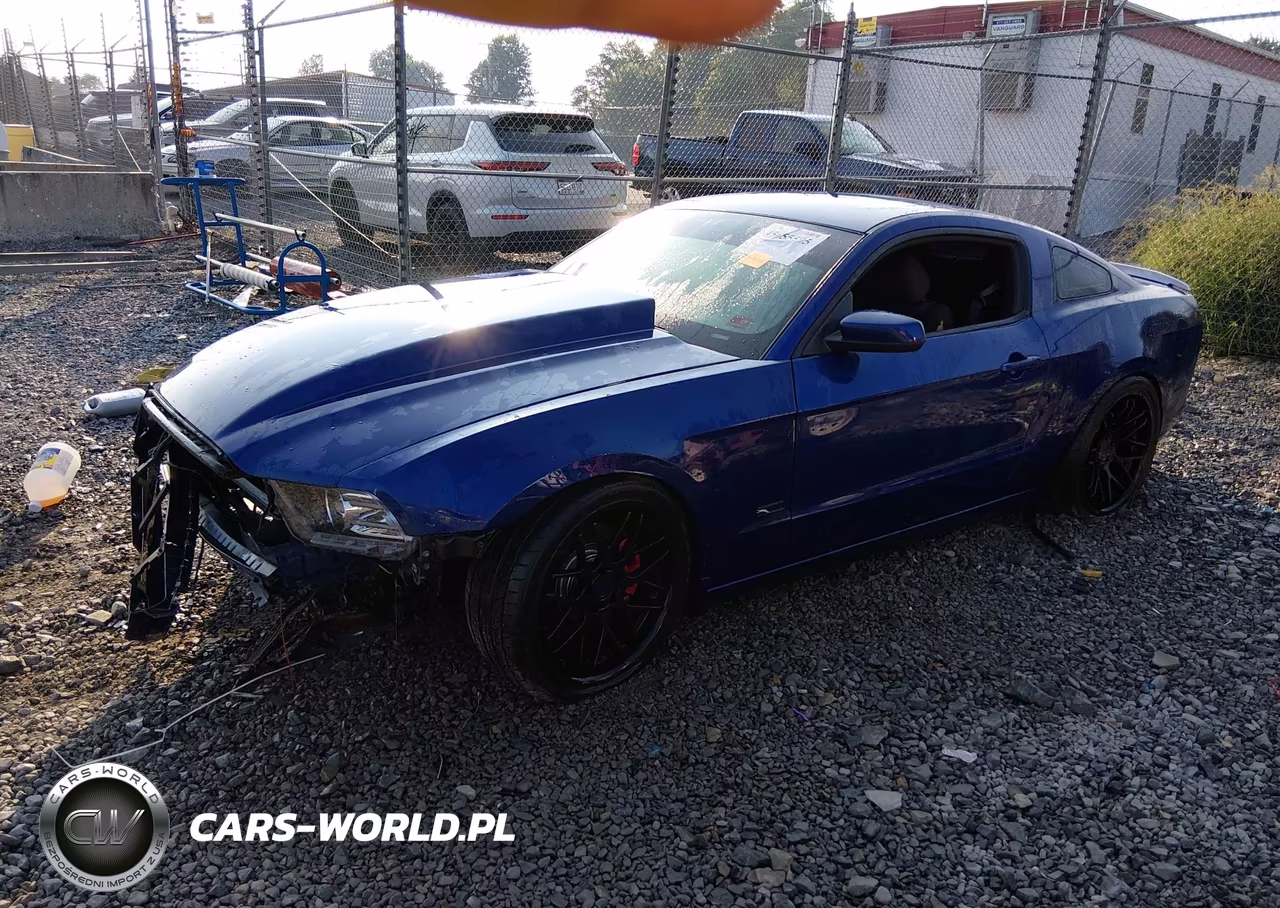 2013 Ford Mustang Gt VIN:1ZVBP8CF8D5204828 - 2