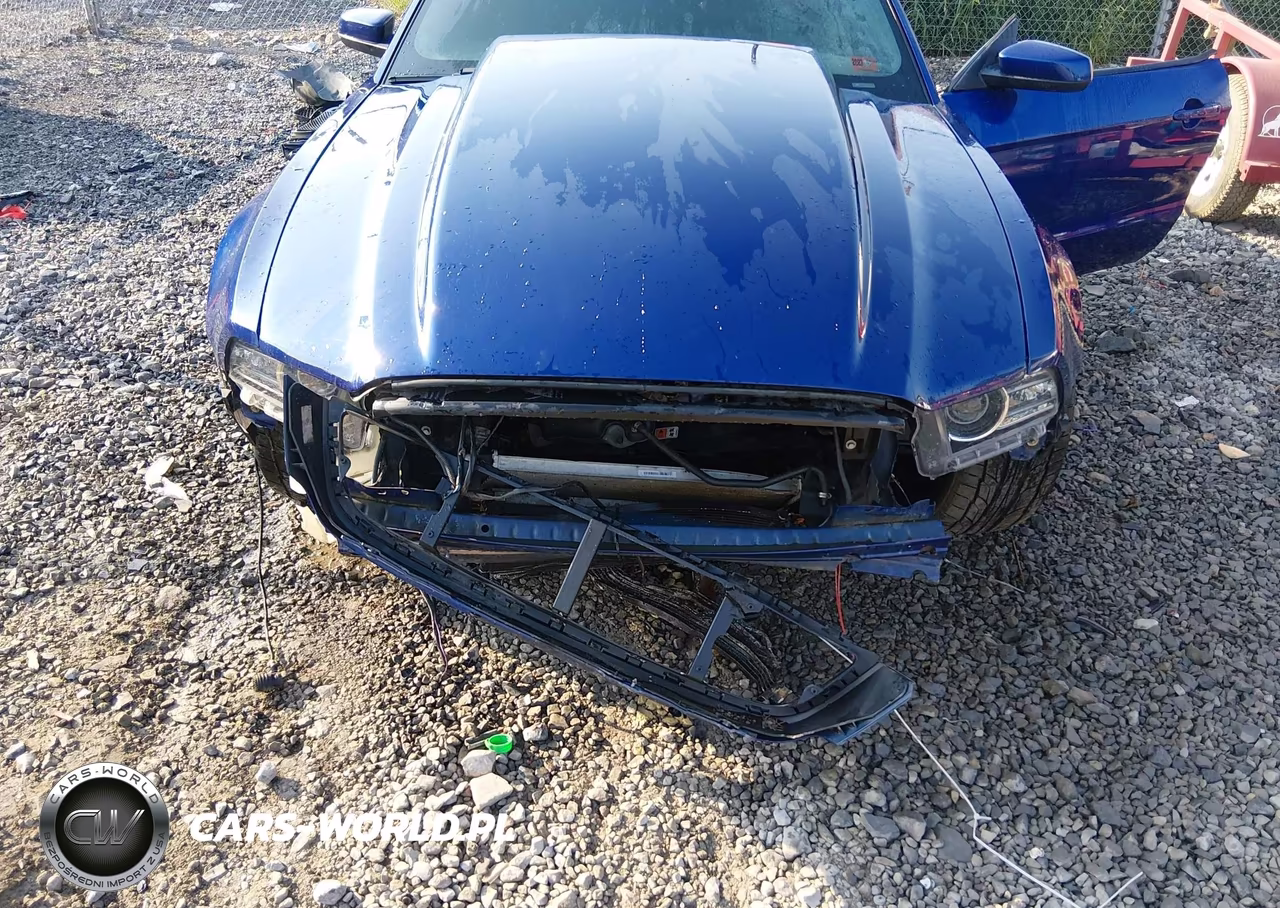 2013 Ford Mustang Gt VIN:1ZVBP8CF8D5204828 - 6