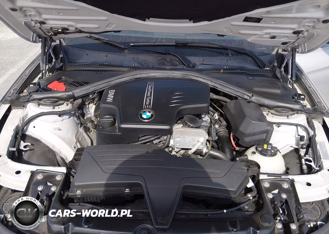 2015 BMW 320I VIN:WBA3B1G52FNT04860 - 10