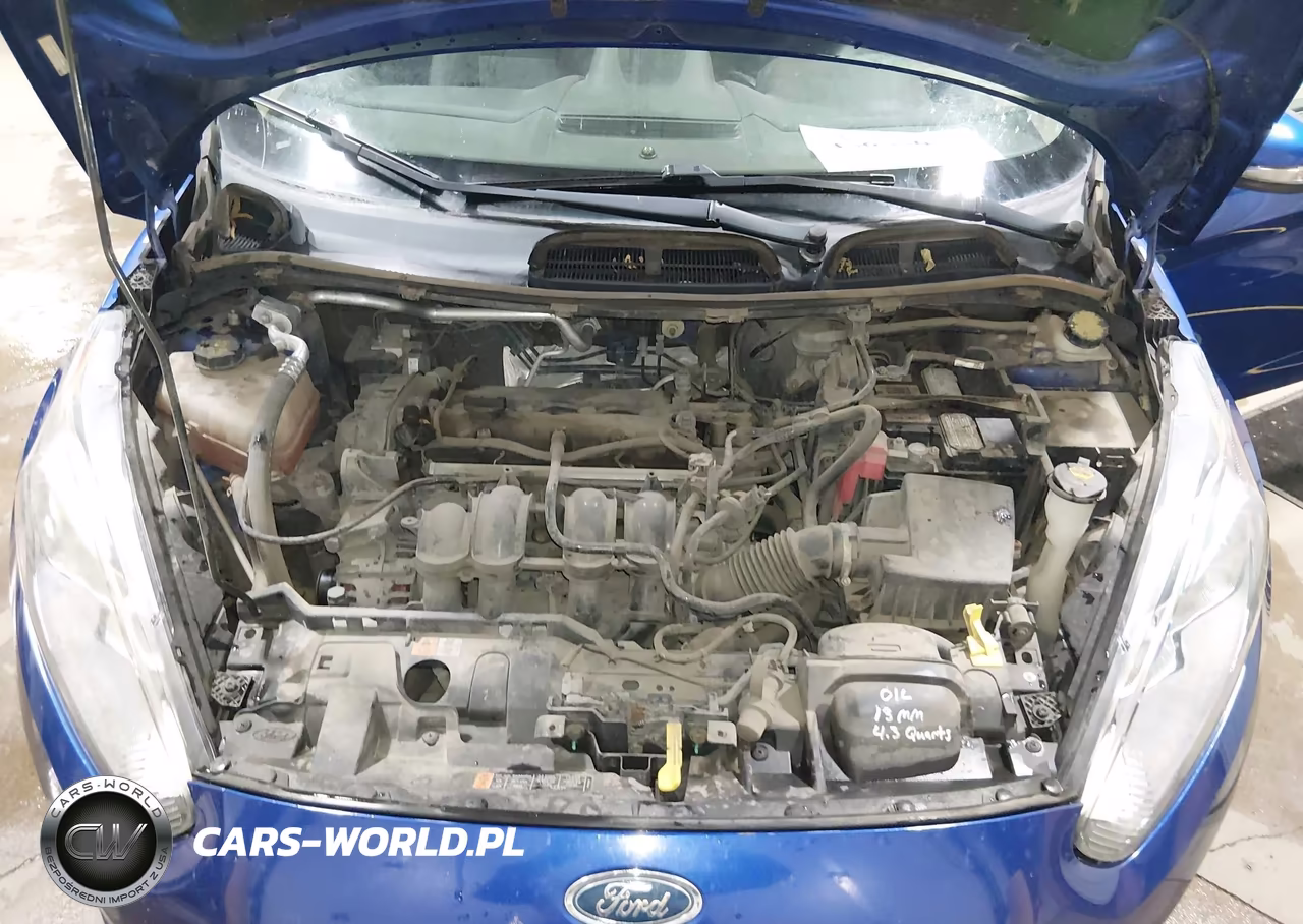 2014 Ford Fiesta Se VIN:3FADP4EJ9EM160250 - 10