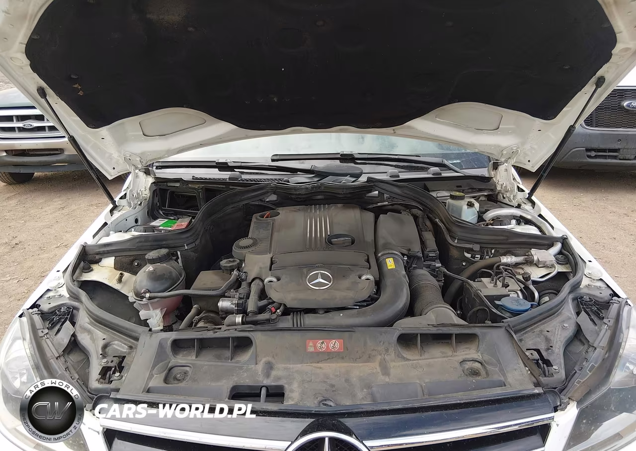2014 Mercedes-Benz C 250 Luxury-Sport VIN:WDDGF4HB3EA966022 - 10