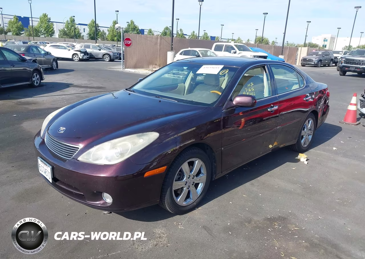 2006 Lexus Es 330 VIN:JTHBA30G065165691 - 2