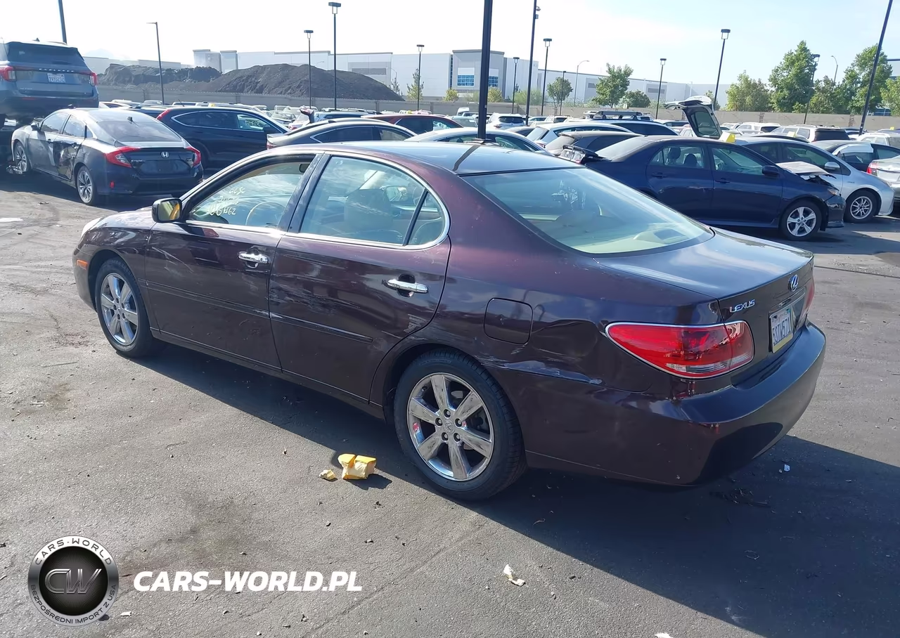 2006 Lexus Es 330 VIN:JTHBA30G065165691 - 3