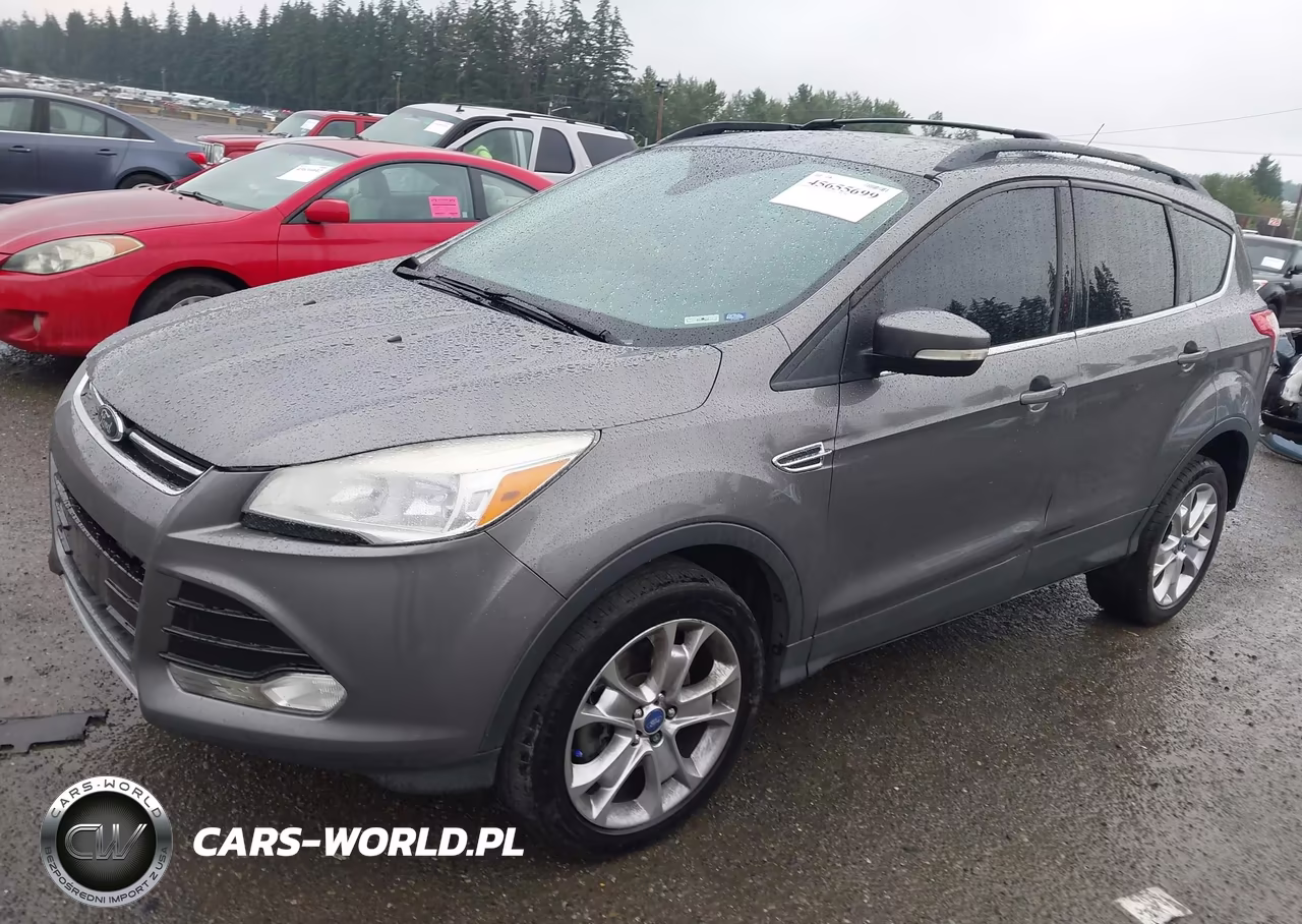 2013 Ford Escape Sel VIN:1FMCU9H99DUC35287 - 2